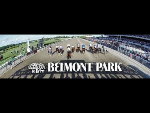 John A. Nerud Stakes at Belmont Picks - Happy 4th of July!