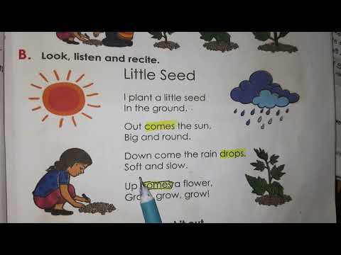 Class 2 Rhyme  Little Seed | English to Bangla
