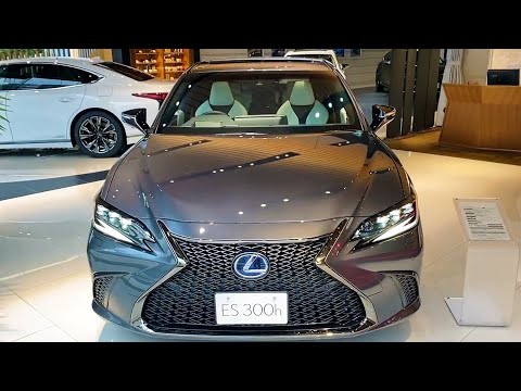 2022 LEXUS ES300h F SPORT Detailed Interior and Exterior
