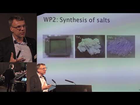 SAMOFAR (Safety Assessment Of the Molten Salt Fast Reactor) Jan Leen Kloosterman @ ThEC2018