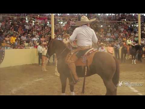 José Juan González Cove (49 points)