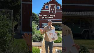 weird or genius?