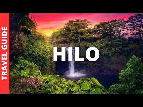 Hilo Hawaii Travel Guide: 20 BEST Things To Do In Hilo