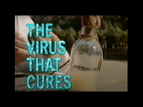 Phages: The Virus that Cures