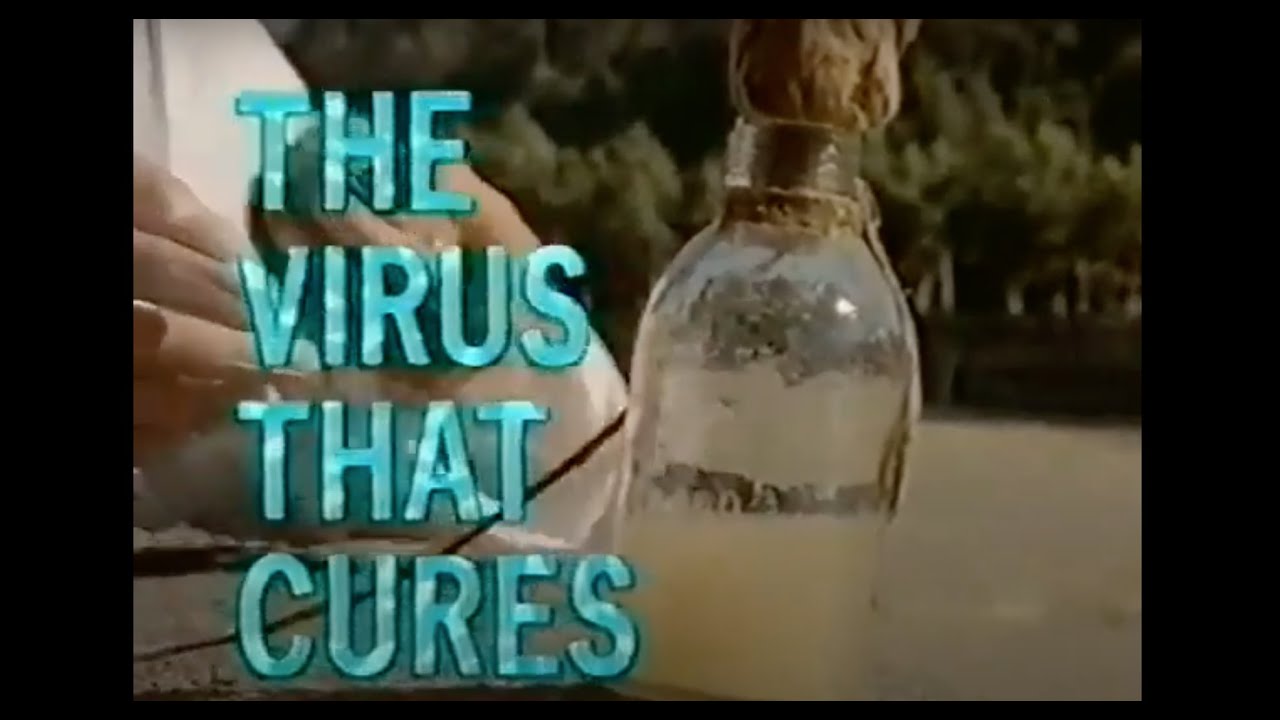 Phages: The Virus that Cures