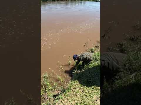 Pesca y Cocina LOS GOMEZ CHICO, Ríos Crecidos, Tucumán #Pesca #pescaycocina #fishing #fish #dorados