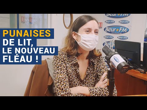 [AVS] Punaises de lit, le nouveau fléau ! - Mathilde Fochesato