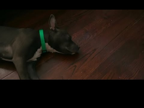 Jaz Major - Im Ready FREESTYLE  (Remix)