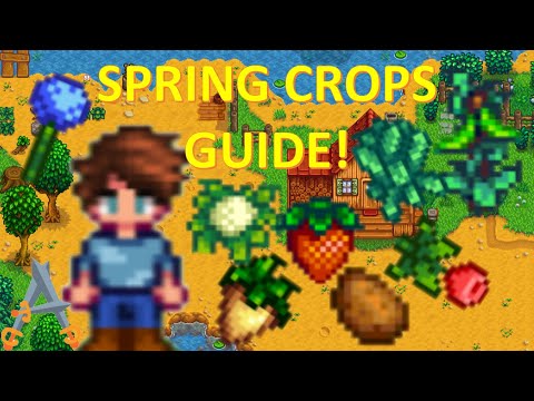 1ST YEAR SPRING CROPS GUIDE IN STARDEW VALLEY