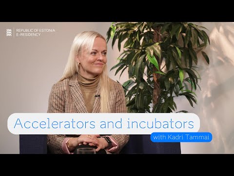 How to Benefit from Accelerators and Incubators: A Guide from Kadri Tammai