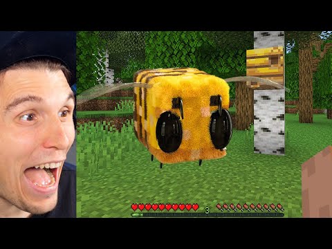 Paluten REAGIERT auf ULTRAREALISTISCHE BIENEN (Minecraft Memes)