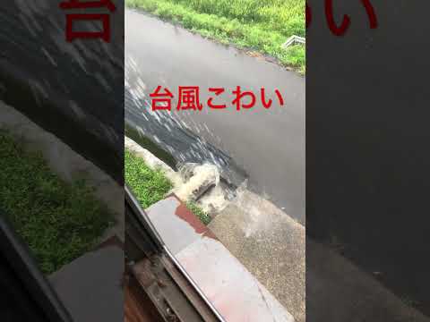 嵐の前後にプールを維持するにはどうすればよいですか?きれいな水を見つけるために知っておくべきことすべて  庭園