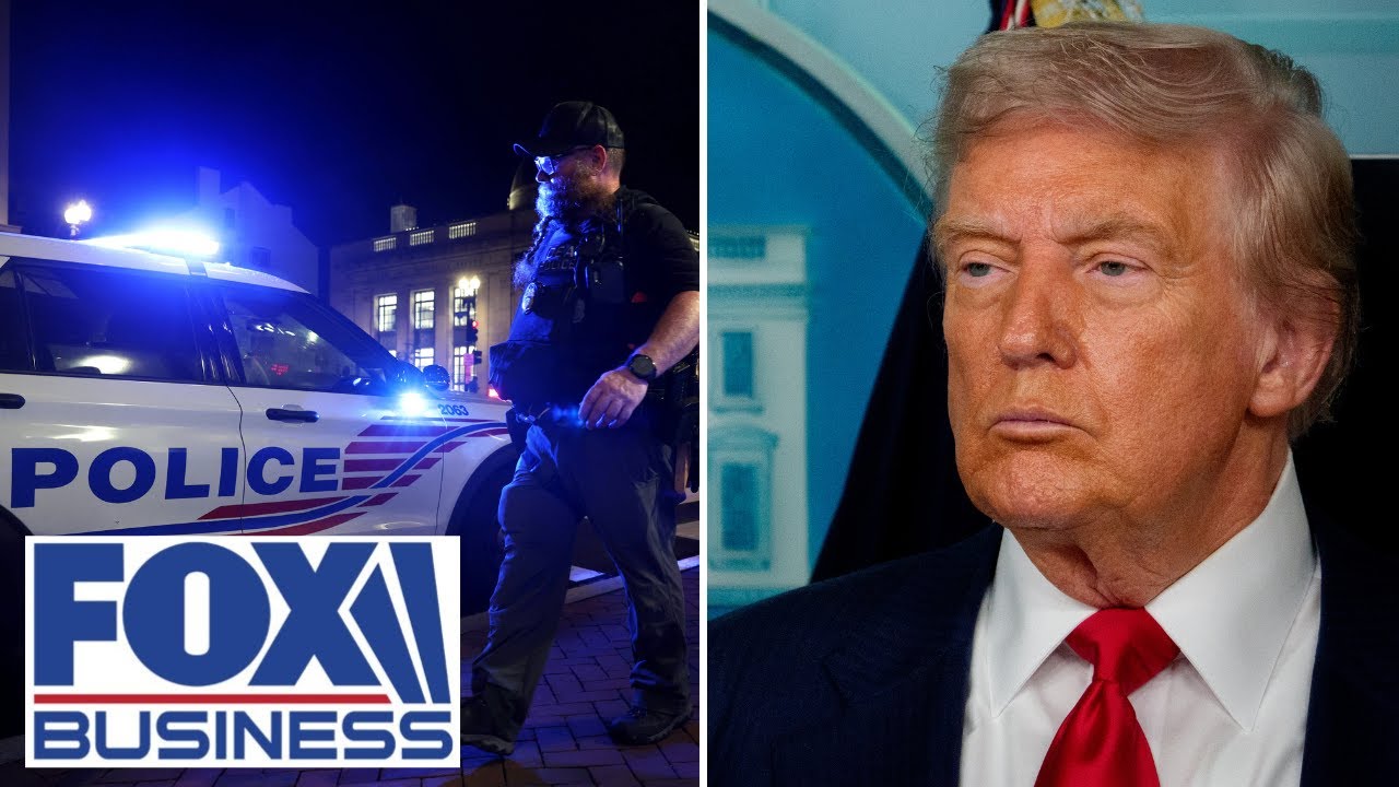 Dems playing into Trump’s hands by ignoring crime issue: ex-NYPD inspector