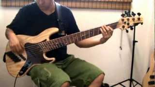 S. Martyn Jazz Bass 6 cordas fanned