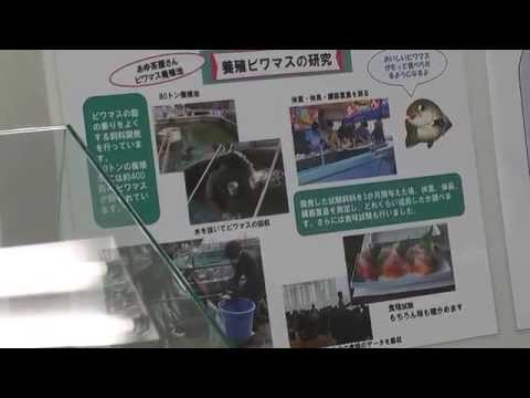 バイオデータサイエンス学科 アニマルバイオ紹介1