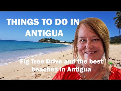 Fig Tree Drive and the best beaches on Antigua Caribbean Island.