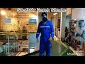 Oye Lucky Lucky Oye Seafarer S WhatsApp Status