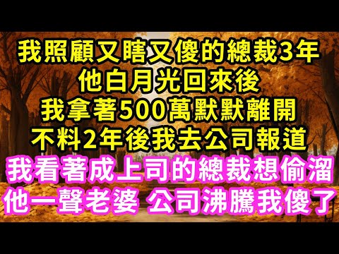 橘子配息