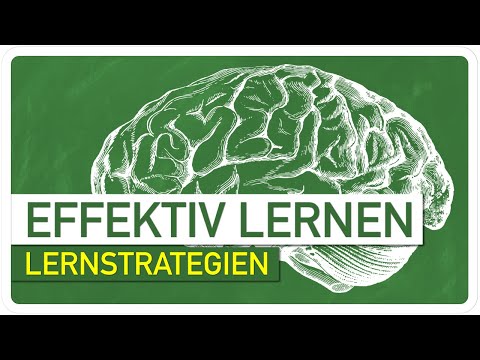 Effektiv und schnell Vokabeln lernen - So baust du dir einen starken Wortschatz auf!
