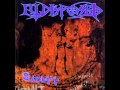Illdisposed - Slaughter Of The Soul (At The Gates ...