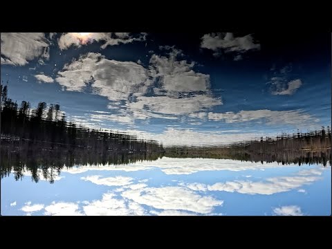 Pavel Svimba - Rainbow Lager Gathering [Official Video]