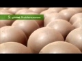 GARNIER Bodytonic Anti Cellulite Roll On