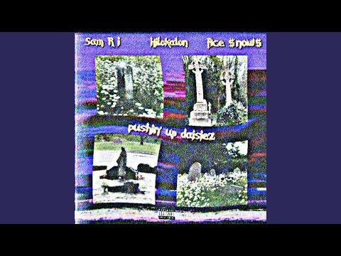 Pushin' Up Daisiez (feat. Hilokalon & Ace $now$)
