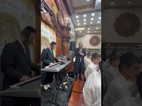 תצוגה מקדימה של סרטון