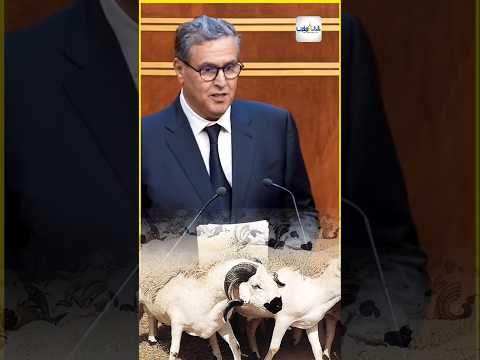 أدعو مربي الماشية إلى الإسراع بعرض مواشيهم بالأسواق، خاصة في ظل التحسن الملحوظ في أعداد القطيع.