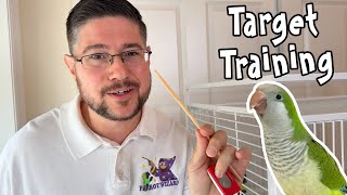 Quaker Parrot Target Training Inside Cage