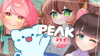 【コラボ】みんなで山をのぼろう！！🏔💪🐾 #PEAK【#アオイネコ / Vtuber】