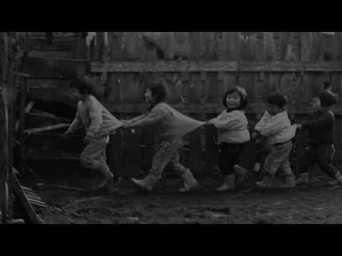 Toyor al Saeed | Arabic Nasheed | طيور السعد | Muhammad al Muqit