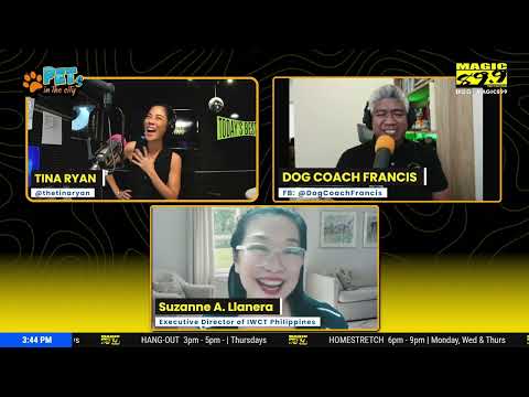 PETS IN THE CITY | 01-26-26