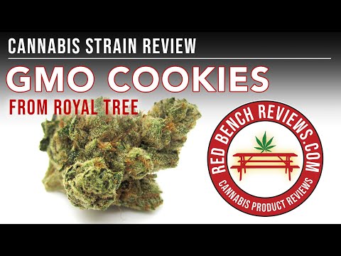 Royal Tree | GMO Cookies Strain Review | 33.77% THC!