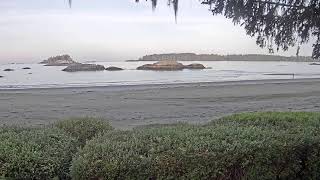Ocean Village Resort live webcam