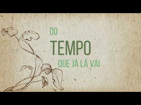 ADELAIDINHA | Sara Vidal