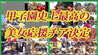 甲子園史上最も可愛い女子高生チアガールが決定！