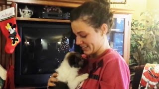 Christmas Puppy Surprise Compilation 2015 - 2016 [NEW]