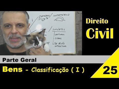 Direito Civil - Aula #25 - Classificação dos Bens (I)  (É isso!)