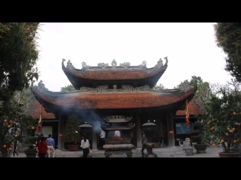 Rừng thu quên lối - Ngọc Sơn