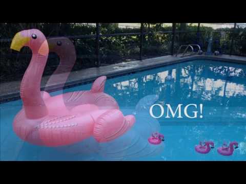 FINAL Flamingo launch