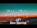 Zilly Zilly Slowed Reverb Bass Boosted Slowedreverb Songs Bassboosted