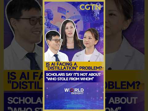 Is AI facing a 'distillation' problem?