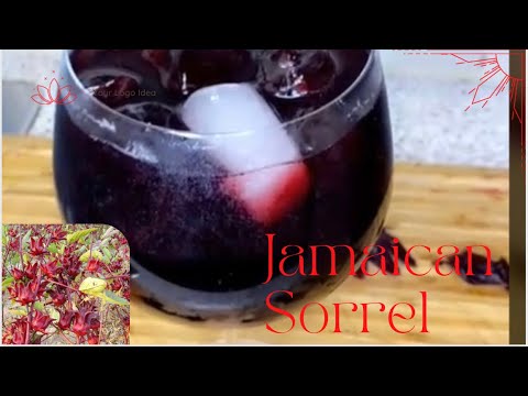 HOW TO MAKE AUTHENTIC JAMAICAN SORREL DRINK||COOKINGWITHJOEBLACK|| #Sorrel #Christmas