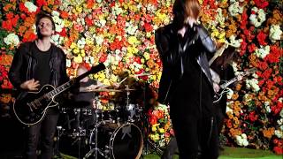 American Nightmare - Flowers Under Siege (Official Music Video)