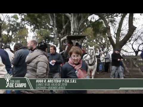 Resumen del remate Hugo R. Aristegui - Lunes 16 de Julio de 2018 - Cacharí