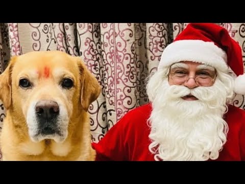 dr silu brand is live# subway Princess running