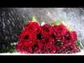 Romantic Music | Beautiful Piano Music & Rain ...