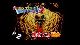 【生実況】モンスター連れて強くなれ！【ドラクエモンスターズ1・2(テリー編)】　＃2