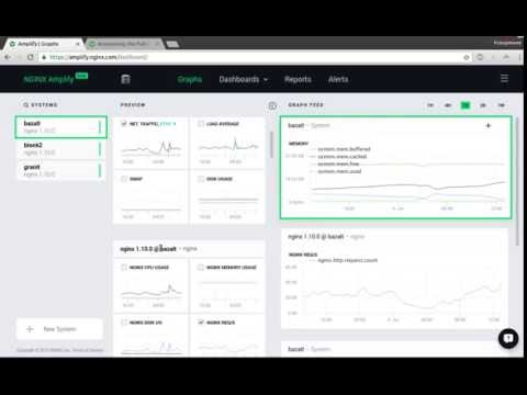 Обзор сервиса мониторинга Nginx Amplify